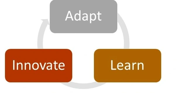 Innovate and Adapt